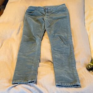 Patagonia Organic Cotton Corduroy Pants - Blue